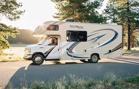 A motorhome parked beside trees