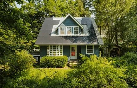 A green home surrounded by trees